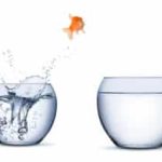 How to Come across the Suitable Therapist For You – Dr. Claudia 6, PhD