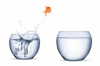 How to Come across the Suitable Therapist For You – Dr. Claudia 6, PhD