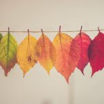Will not Overlook Your Time — Moral Revolution