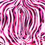 My Dropped Vagina — SUSANNAH BRESLIN