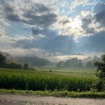 Sexual intercourse Therapy Site | Pathway To Satisfaction