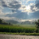 Intercourse Remedy Blog site | Pathway To Pleasure