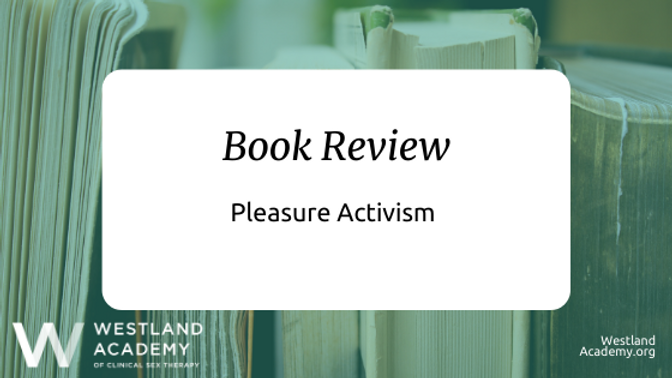 E book Evaluate: Enjoyment Activism
