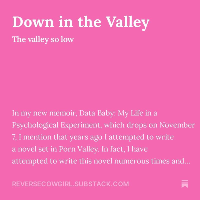 Porn Valley, Usa — SUSANNAH BRESLIN
