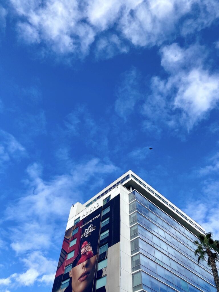 The Girl in the Sky